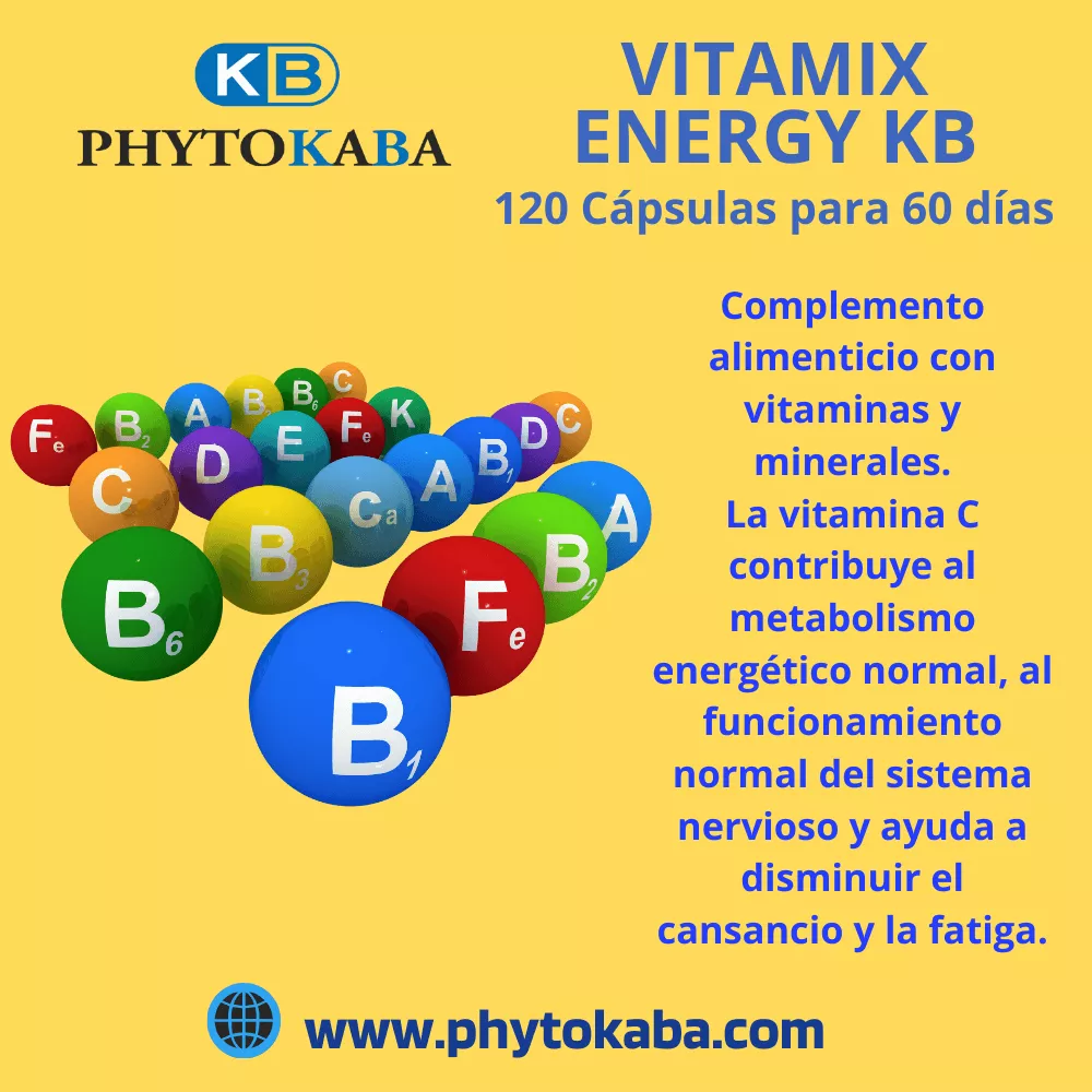 VITAMIX ENERGY KB 120 c&aacute;psulas vitaminas y minerales